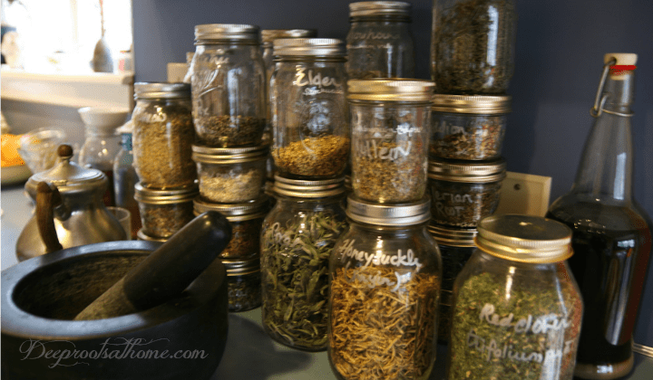 Herbs to avoid