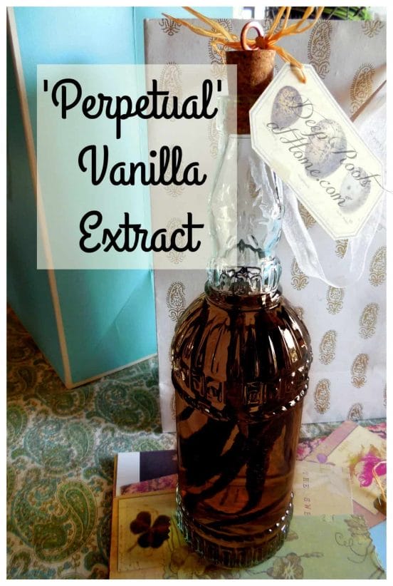 'Perpetual ' Vanilla Extract ~ A Gift That Will Last Forever. A gift bottle of Madagascar Bourbon vanilla