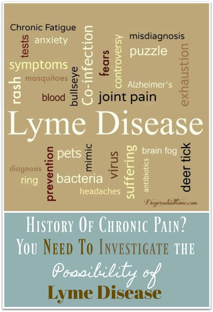 History Of Chronic Pain? Investigate the Possibility of Lyme Disease. key words