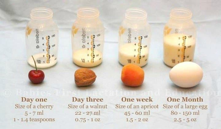 Visual: Know The Size & Volume Of Your Newborn's Stomach. An educational graphic to show how much a babies tummy hold on day 1, day 3, at one week and at one month.