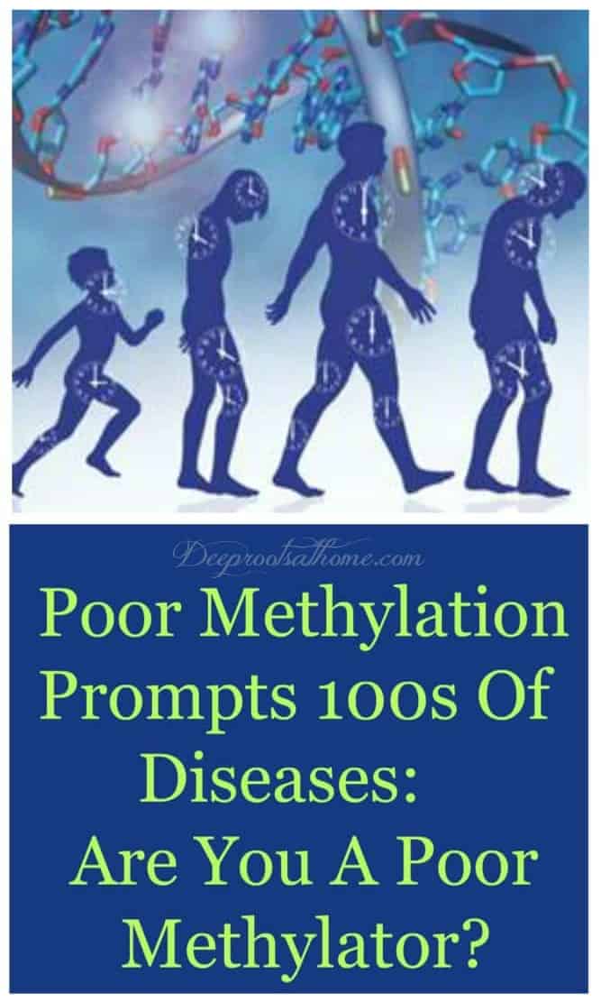 MTHFR Simplified: Poor Methylation Prompts 100s Of Diseases