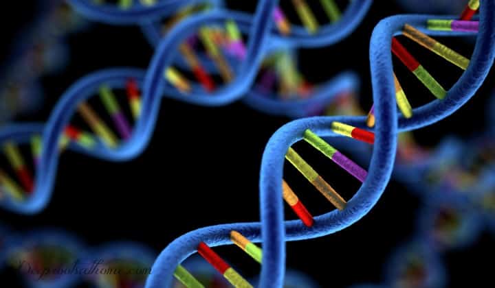 Poor Methylation Prompts 100s Of Diseases: MTHFR Simplified, a DNA double helix