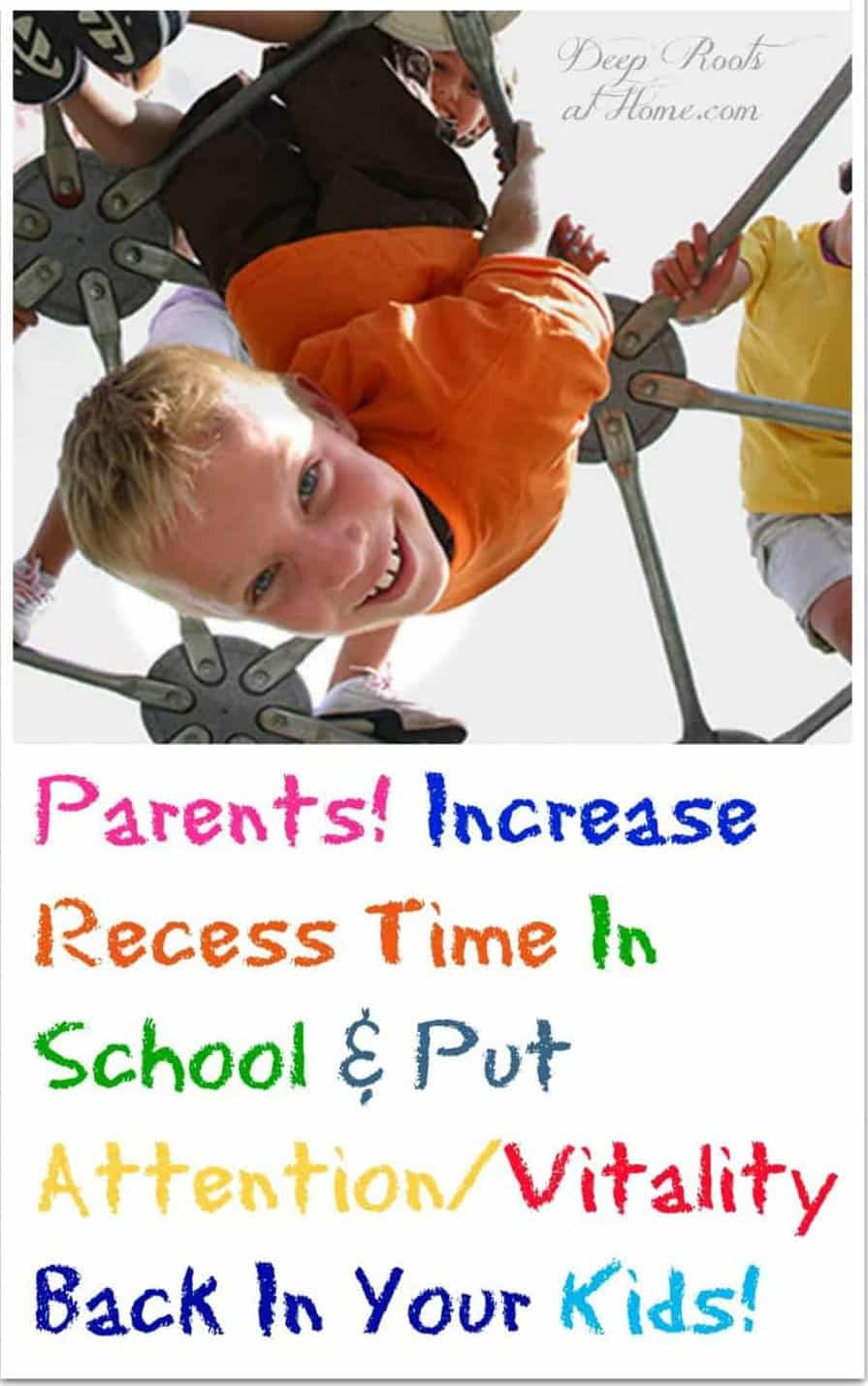 Parents! Increase Recess Time & Put Attention/Vitality Back In the Kids! Kids playing and hanging from a jungle gym.
