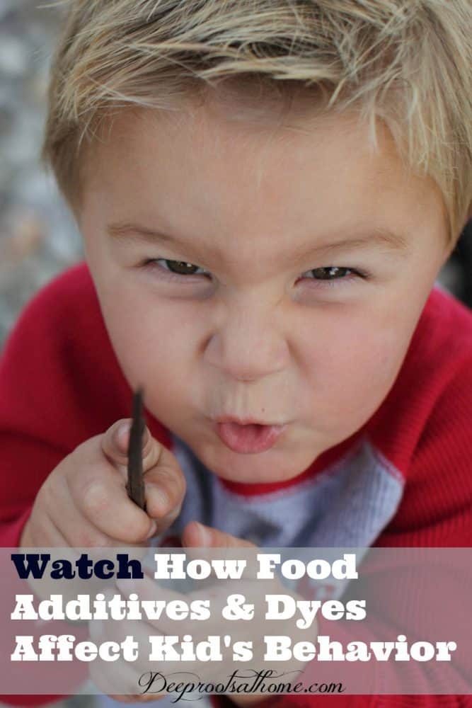 Watch This: Foods With Additives & Dyes Affect Children's Behavior