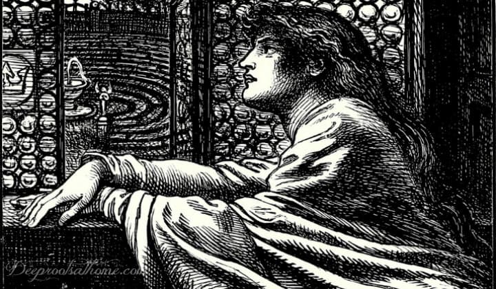 Tenacious Monica of Hippo: Hope for Weeping (& Praying) Mom’s Tenacious Monica of Hippo: Hope for Weeping (& Praying) Mom’s. A woodcutting of Monica of Hippo, Augustine's mother.