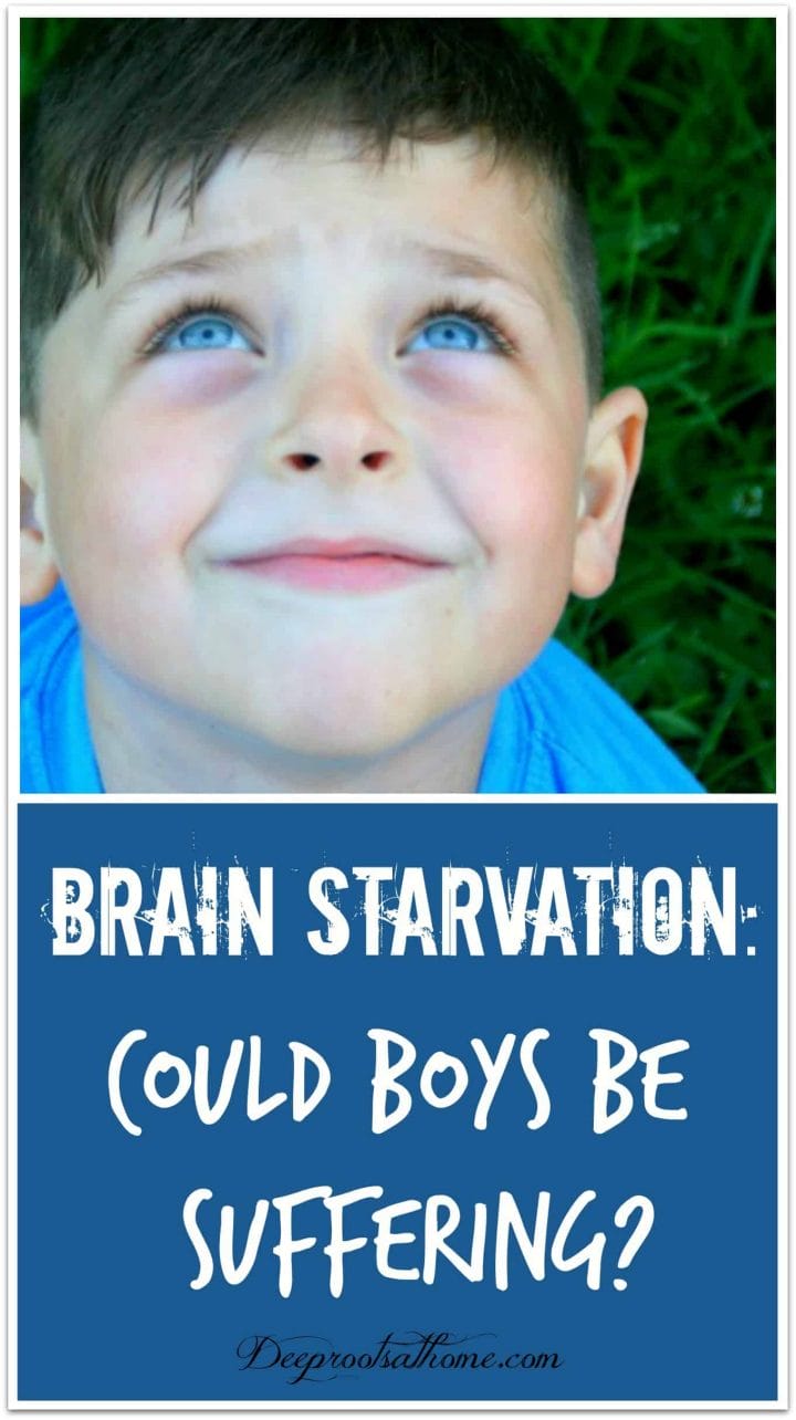Brain Starvation: Could Boys Be Suffering?