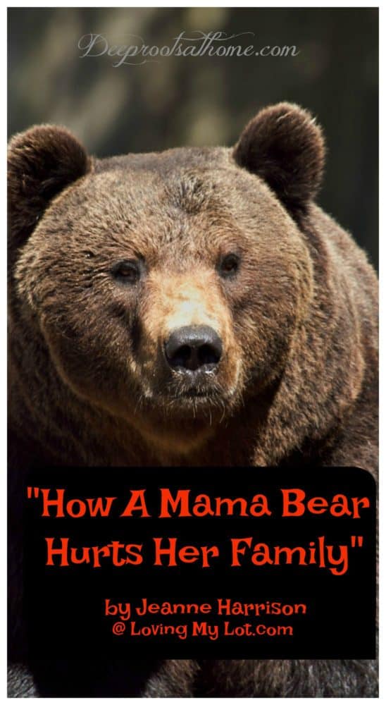 mama bear