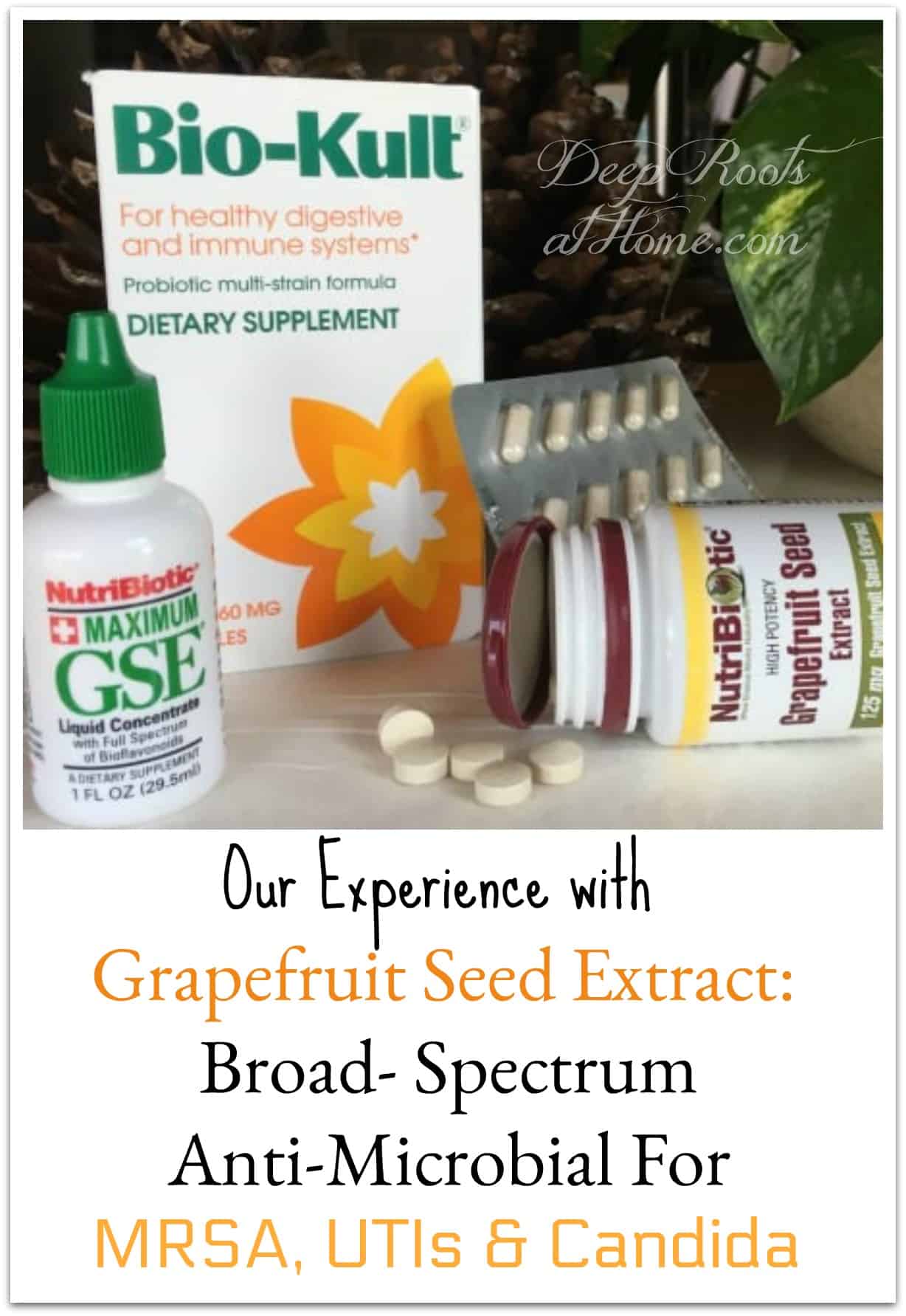 Grapefruit Seed Extract Safe AntiMicrobial For MRSA, UTI & Candida