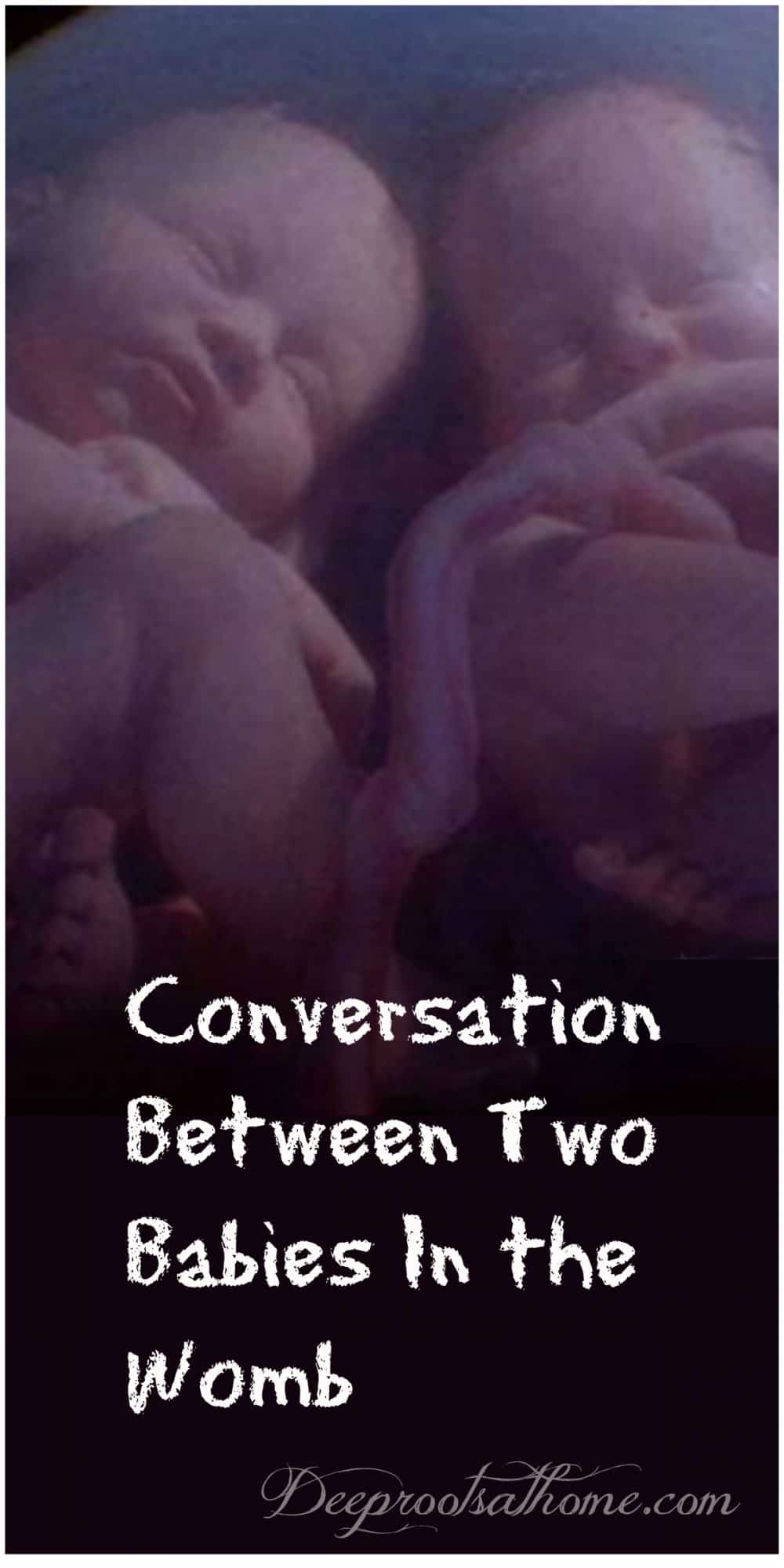 Conversation Between Two Babies In the Womb of a Mother, delivery, life after delivery, womb, babies, twins, talking babies, life, pregnancy, senses, analogy, understanding, limited knowledge, faith, absurdities, umbilical cord, walking, eating, nutrition, logical conclusion, momma, mommie, mom, birthday, birthing, existence, world, doesn't exist, no God, godless, presence, silence, focus, listen, voice, calling, no attribution, 1 Corinthians 2: 9-10, no eye, no ear, imagination, prepared, revealed, Spirit, limbo, athiest, agnostic, belief, believe, death, resurrection, God, omnipotent, omniscient, loving, Christian, afterlife 