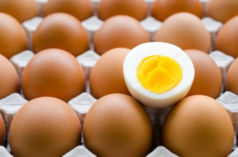 Low Fat Fiasco: 10 Reasons It's Finally Being Exposed As The Awful Nutrition Advice It Really Is! Low Fat Fiasco: 10 Reasons It's Finally Being Exposed As The Awful Nutrition Advice It Really Is!, brown eggs, egg carton, egg yolk,