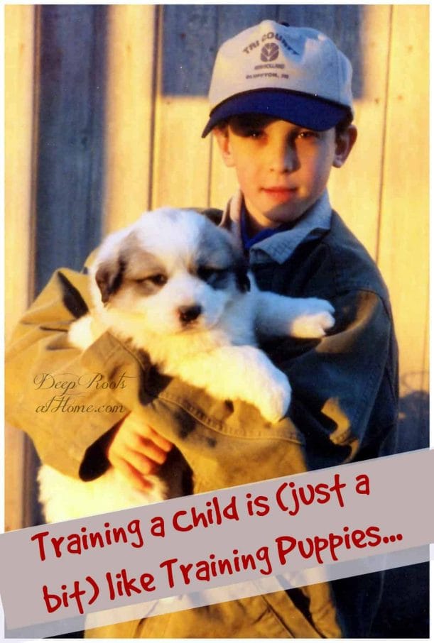 Training a Child is (just a bit) like Training Puppies. Photo of a responsible 8 year old boy holding a little puppy.