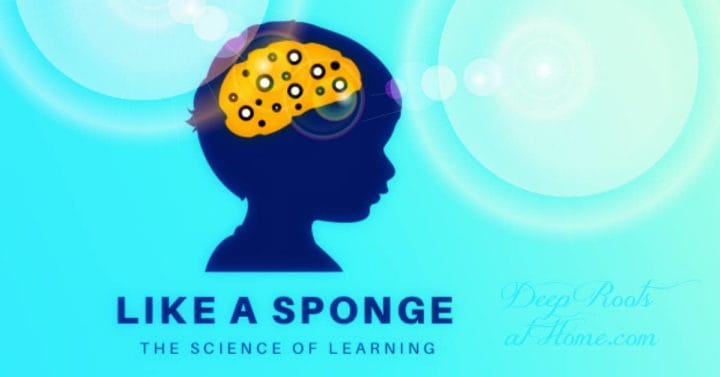 Storytime Science: What Happens In Your Child's Brain When You Read? a graphic of a boy with a learning sponge in place of the brain