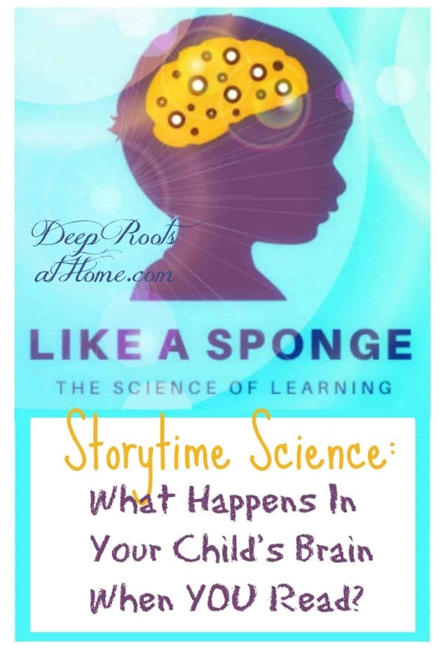 Storytime Science: What Happens In Your Child's Brain When You Read? A graphic drawing of a boy with a sponge in his brain.