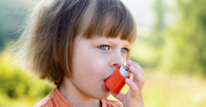 Large Study: Tylenol 1x/Year Increases a Child's Asthma Risk 70%. A child with bangs and straight hair uses an inhaler outside on a summer day.