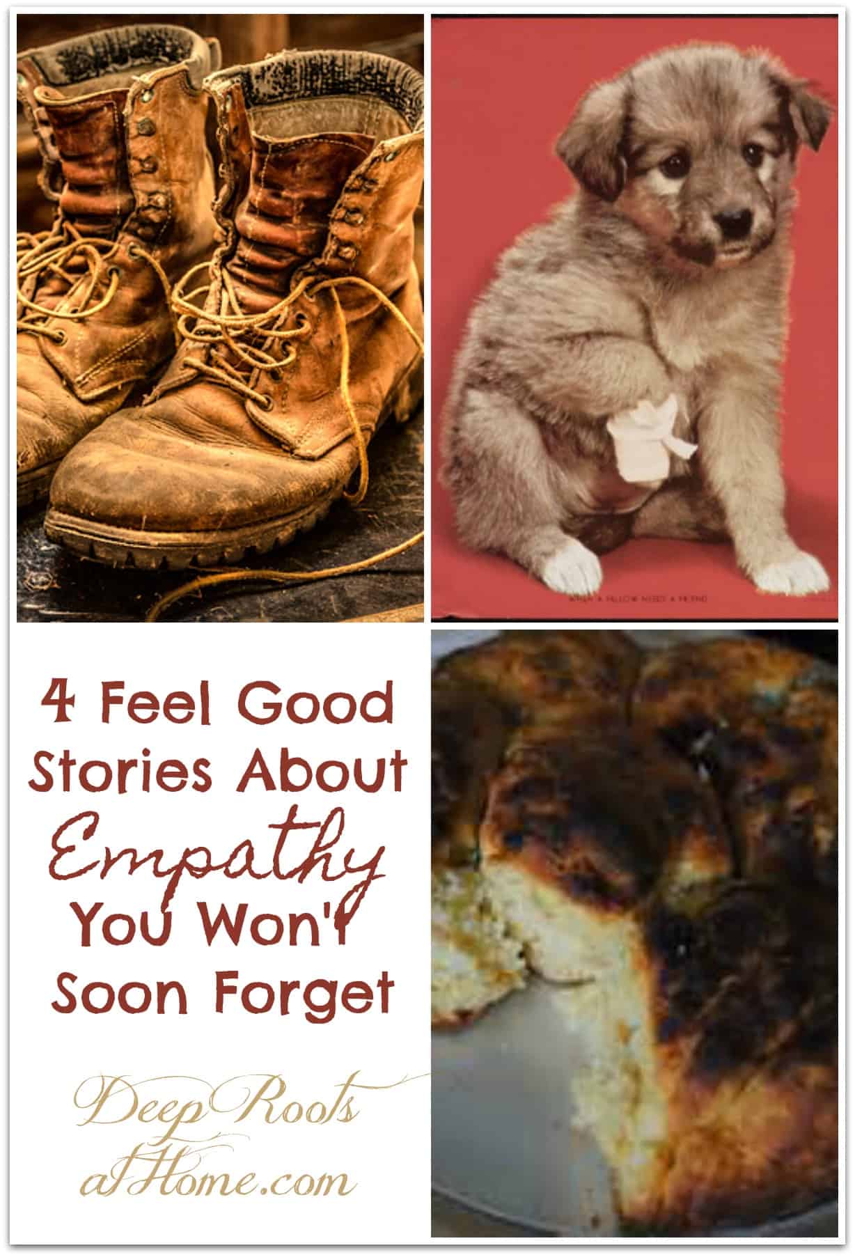 4 Feel Good Stories About Empathy You Won't Soon Forget. A hurt puppy, old well-used boots, and a burned biscuit or cake. Pin image