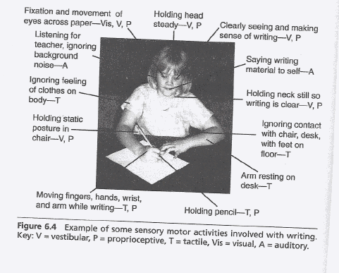 The Science: How Handwriting Makes Reading & Learning Come Easier