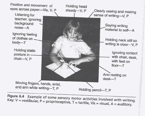 Cursive: Reasons It Should Be Taught Today & the Science Behind It