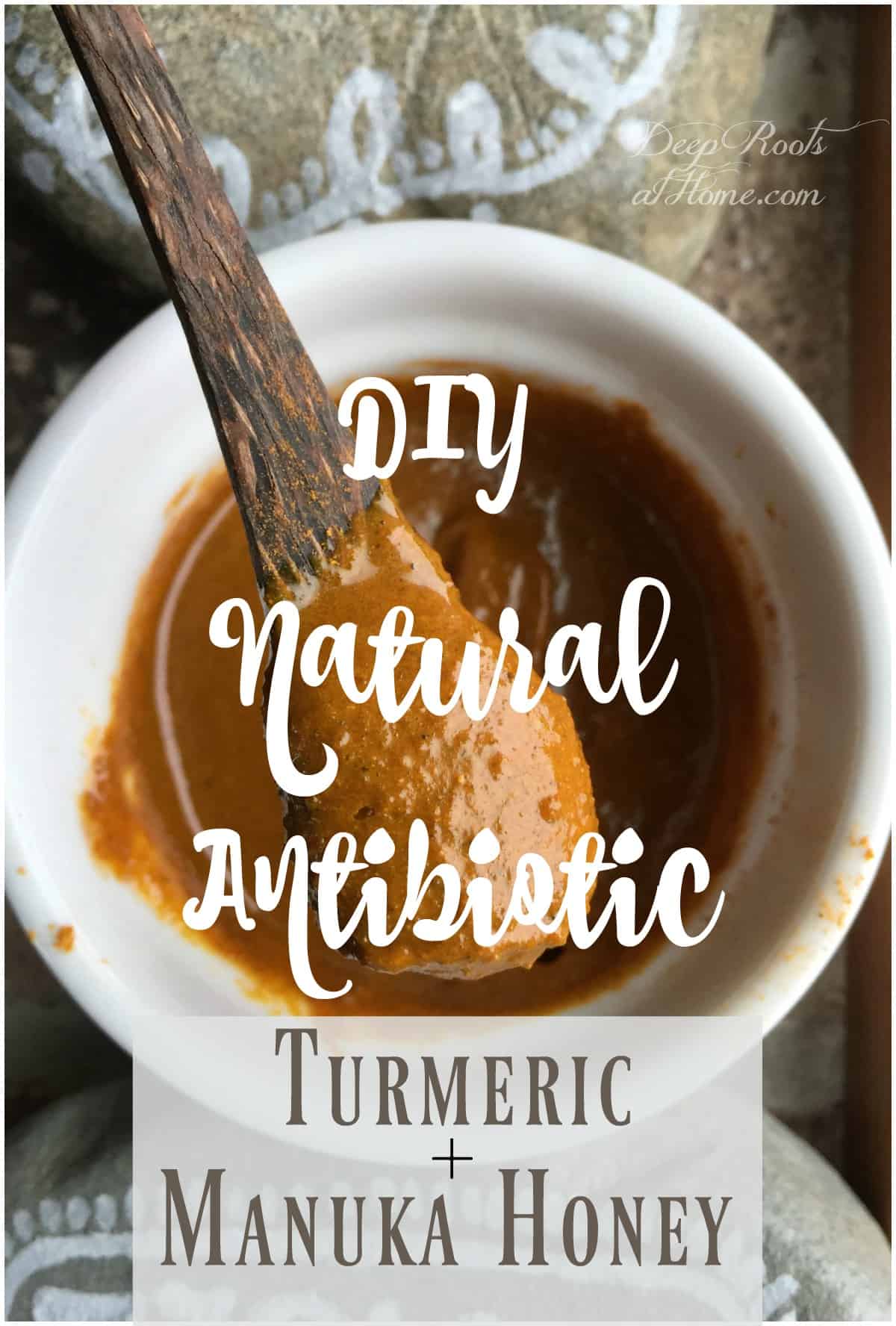 DIY Natural Antibiotic Recipe using Turmeric and Manuka Honey. A mixture of turmeric and manuka honey on a wooden spoon.