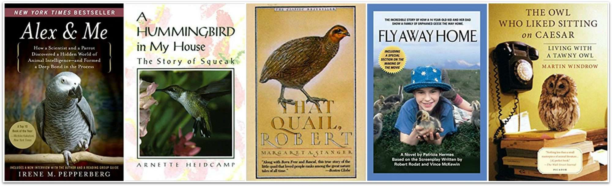 57 K - Gr. 5 True Story Nature & Science Books For Curious Kids. 5 books about animals that lived closely with humans on the reading list.