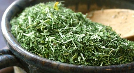 Alfalfa Herb - Friend of Young Mothers & Those On Antibiotics. cut herb