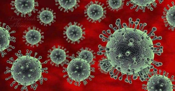 Nat'l Acad. of Sciences: Flu Vaccine Recipients Shedding More Flu Virus. Images of the avian flu virus