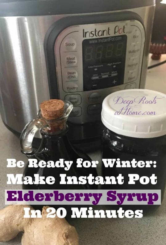 Be Ready for Winter: Make Instant Pot Elderberry Syrup In 20 Minutes. elderberry syrup made in an Instant Pot.