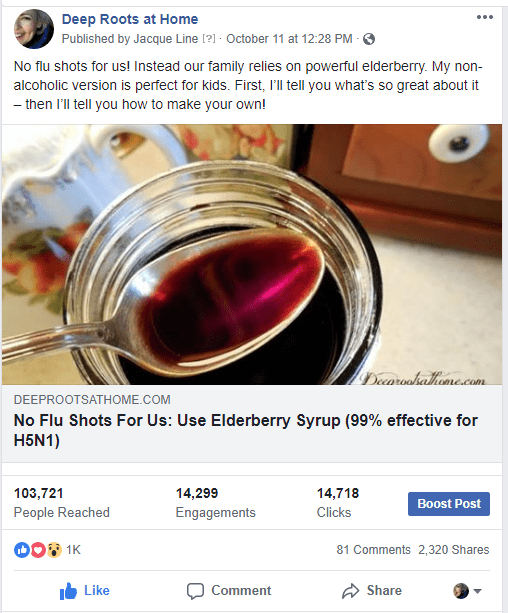 Be Ready for Winter: Make Instant Pot Elderberry Syrup In 20 Minutes, Viral FB post