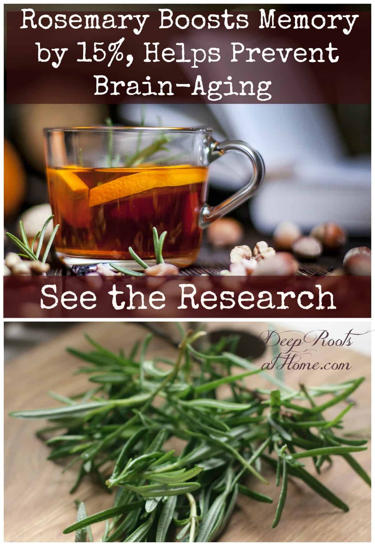 Rosemary Boosts Memory by 15%, Prevents Brain-Aging Says the Science. Rosemary tea and rosemary herb in bloom and cut
