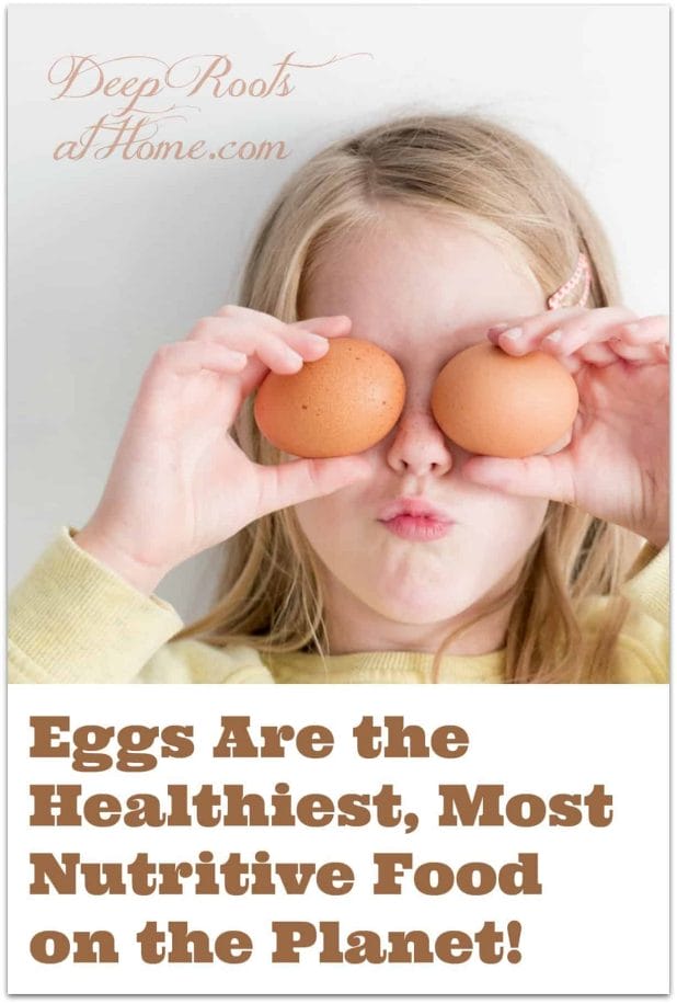 Eggs Are the Healthiest, Full-Range Nutritive Food on the Planet. A cute girl holding 2 eggs up to her eyes