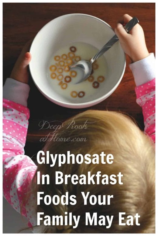 Popular Breakfast Foods With a Considerable Dose of Roundup. A pajama-clad toddler eating Cheerios.