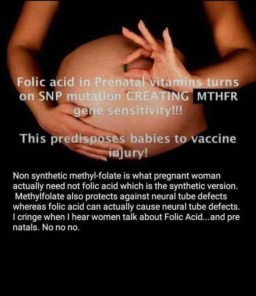 B Vitamins - Including Folate - Turning Genes On and Off Folate vs folic acid