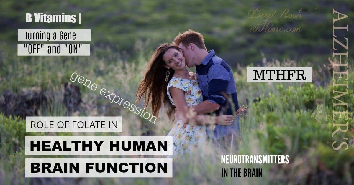 B Vitamins - Including Folate - Turning Genes On and Offs. B Vitamins - Including Folate - Turning Genes On and Off. The author and her husband