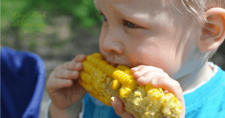 List of Debilitating Illnesses from Exposure to Roundup. Eating corn
