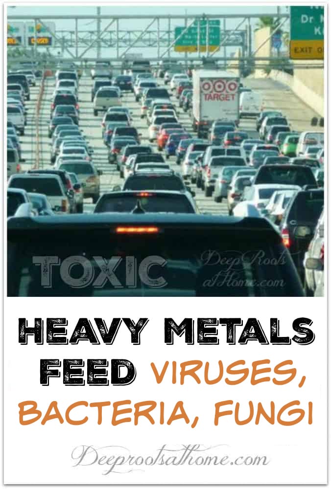 Heavy Metals Must Go: They Feed for Viruses, Bacteria, Fungi.