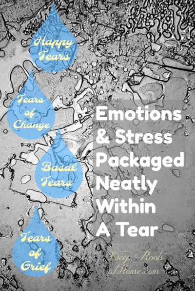 Emotions & Stress Are Released Within Your Tears So Have a Good Cry!