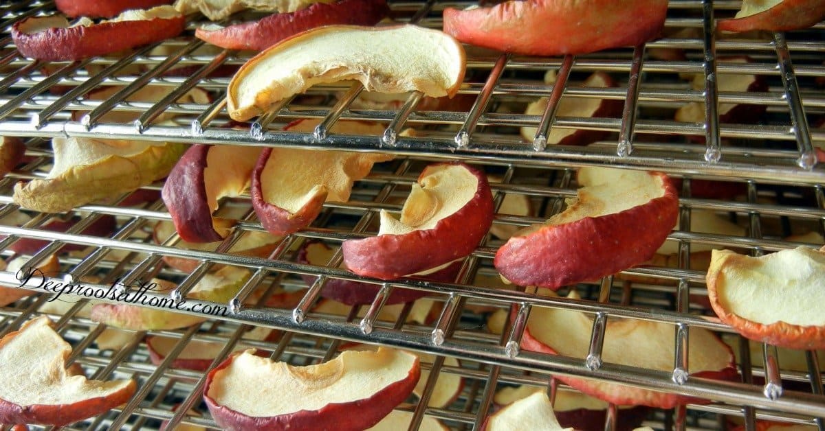 3 Simple Steps To Dehydrating Apples For Long Term Storage. Dried apples