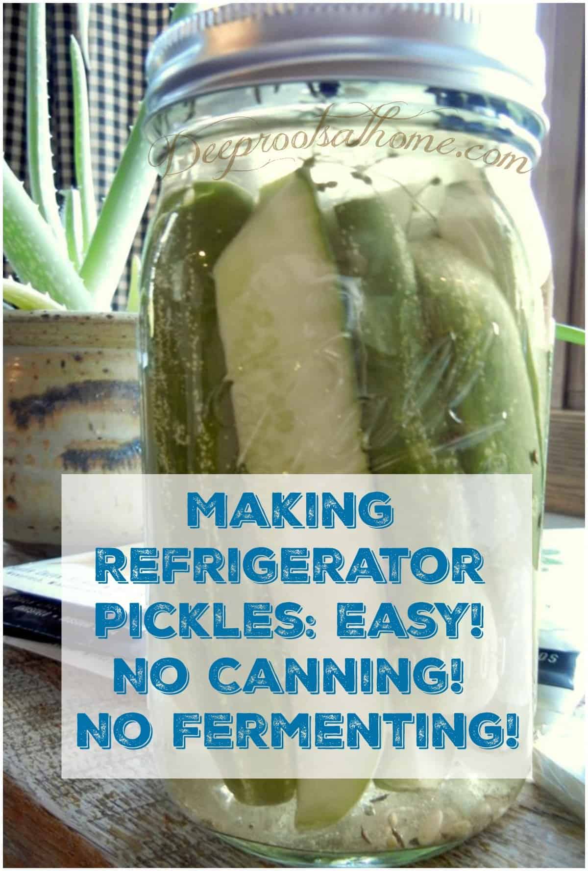 Making Refrigerator Pickles: Easy! No Canning, No Fermenting! pickles