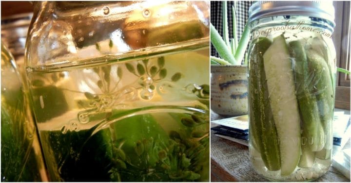 Making Refrigerator Pickles: Easy! No Canning, No Fermenting! pickles