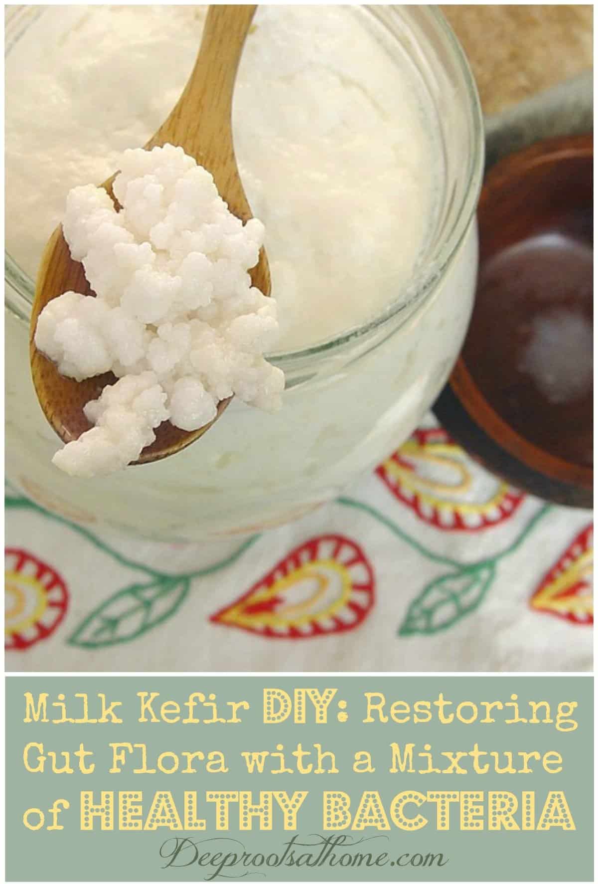 Kefir: Why To Drink It & How To Make this Power Beverage at Home. milk fermented