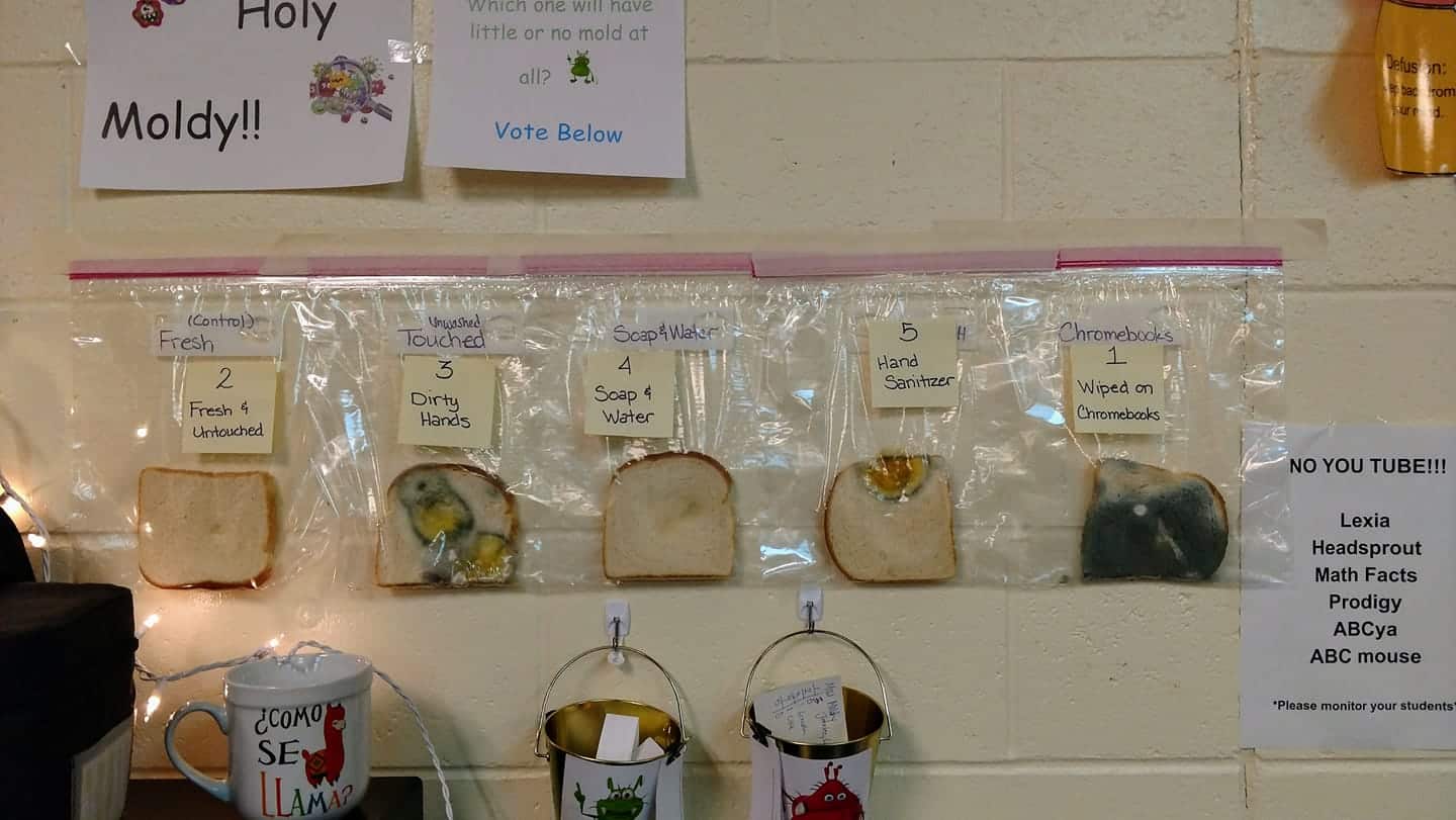 classroom experiment Proper Handwashing (& This 1 Other Thing) Lowers Viruses In Flu Season