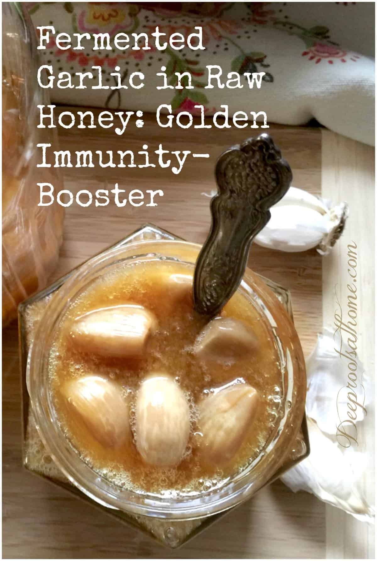 Fermented Garlic In Raw Honey: Golden Immunity-Booster