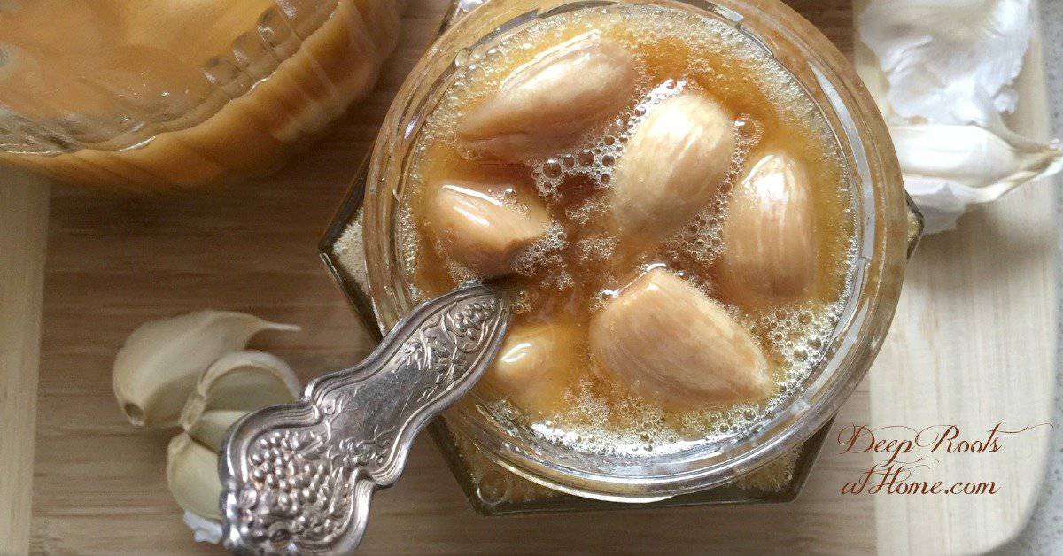 Fermented Garlic in Raw Honey: Golden Immunity-Booster. garlic cloves in honey
