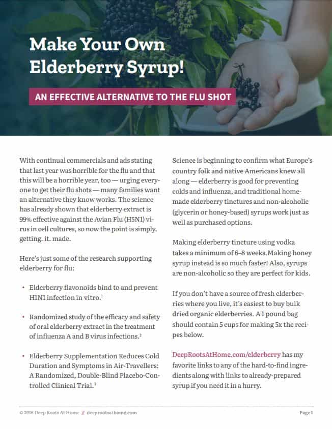 Elderberry Syrup Recipes