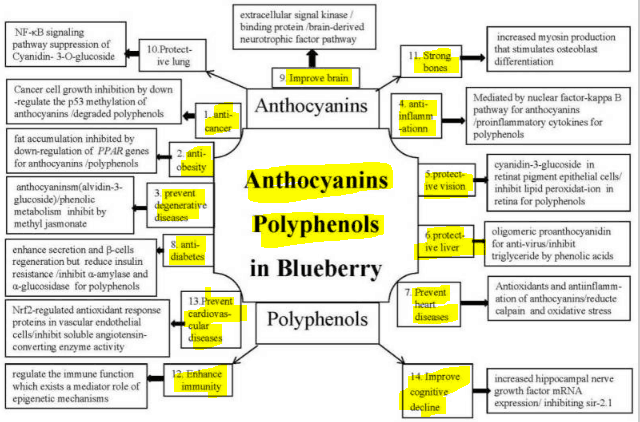 Wild Blueberries: 11 Distinct Anti-aging Benefits from a Tiny, Potent Berry Chart of health benefits