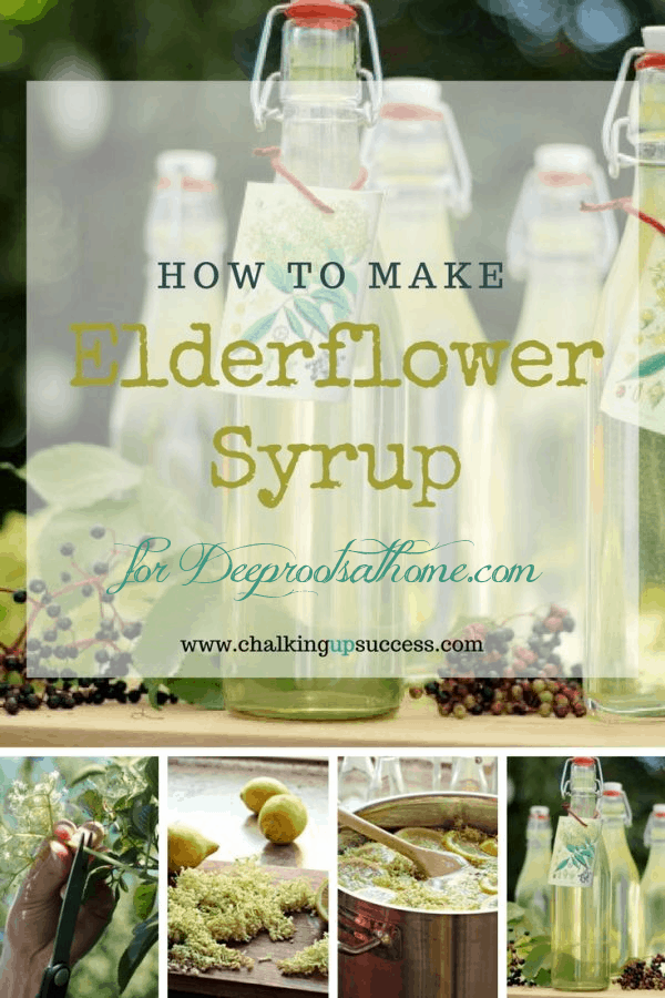 Homemade Elderflower Syrup for Gifting/Summer Parties/Drinks