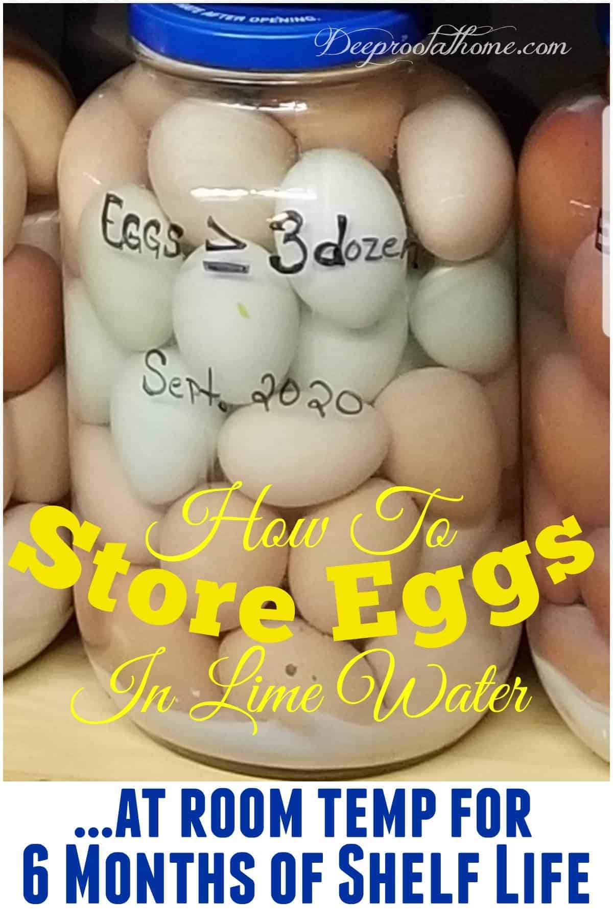 How to Store Eggs at Room Temp for 6 Months Shelf Life in Lime Water. eggs in a jar