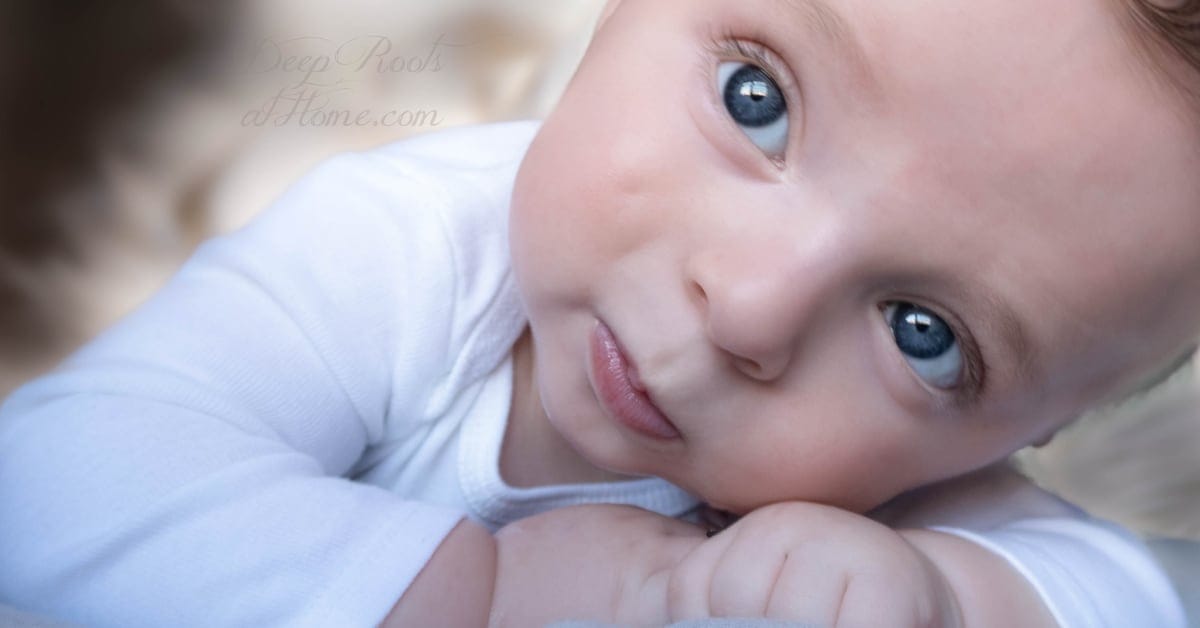 Did You Know the Vit K Your Baby Gets Has a Black Box Warning? Did You Know the Vit K Your Baby Gets Has a Black Box Warning?
