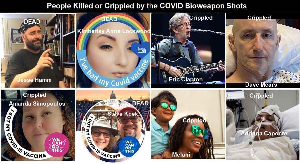 CDC Data: 16,310 Deaths/778,683 Other Injuries, Adv Reactions Reported CDC Data: 16,310 Deaths/778,683 Other Injuries, Adv Reactions Reported