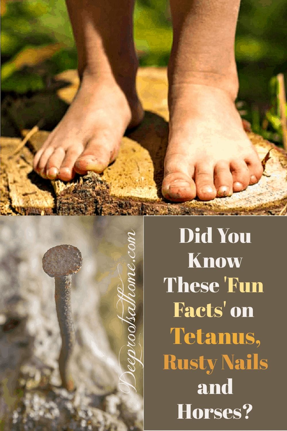 Did You Know These 'Fun Facts' on Tetanus, Rusty Nails and Horses? bare feet 