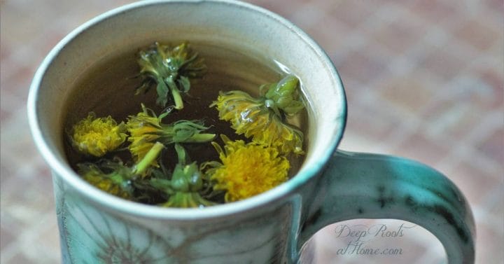 Dandelion Tea May Block Spike Protein On Syncitin 1, Prevent Miscarriage